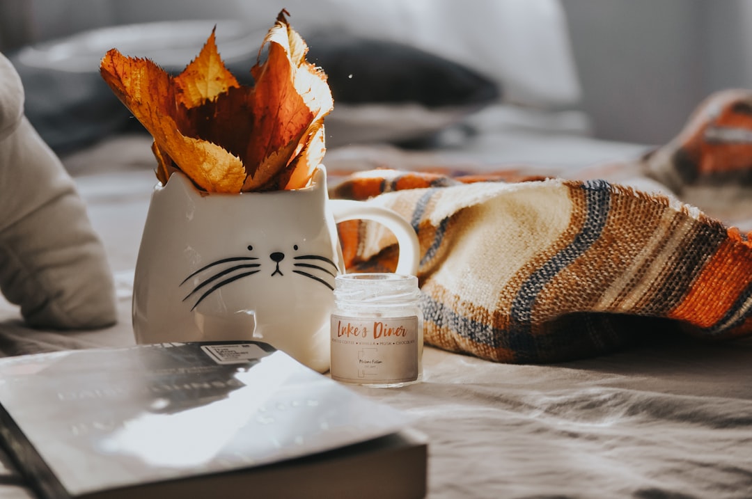 cozycozy : votre site incontournable pour trouver des hébergements confortables et abordables partout dans le monde.