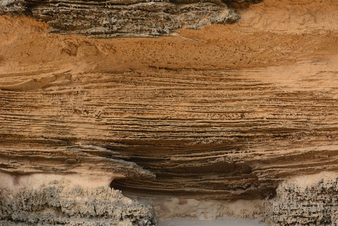 détection de la mérule : identifier les signes de pourriture sèche dans vos structures pour prévenir les dommages et assurer la sécurité de votre bâtiment.