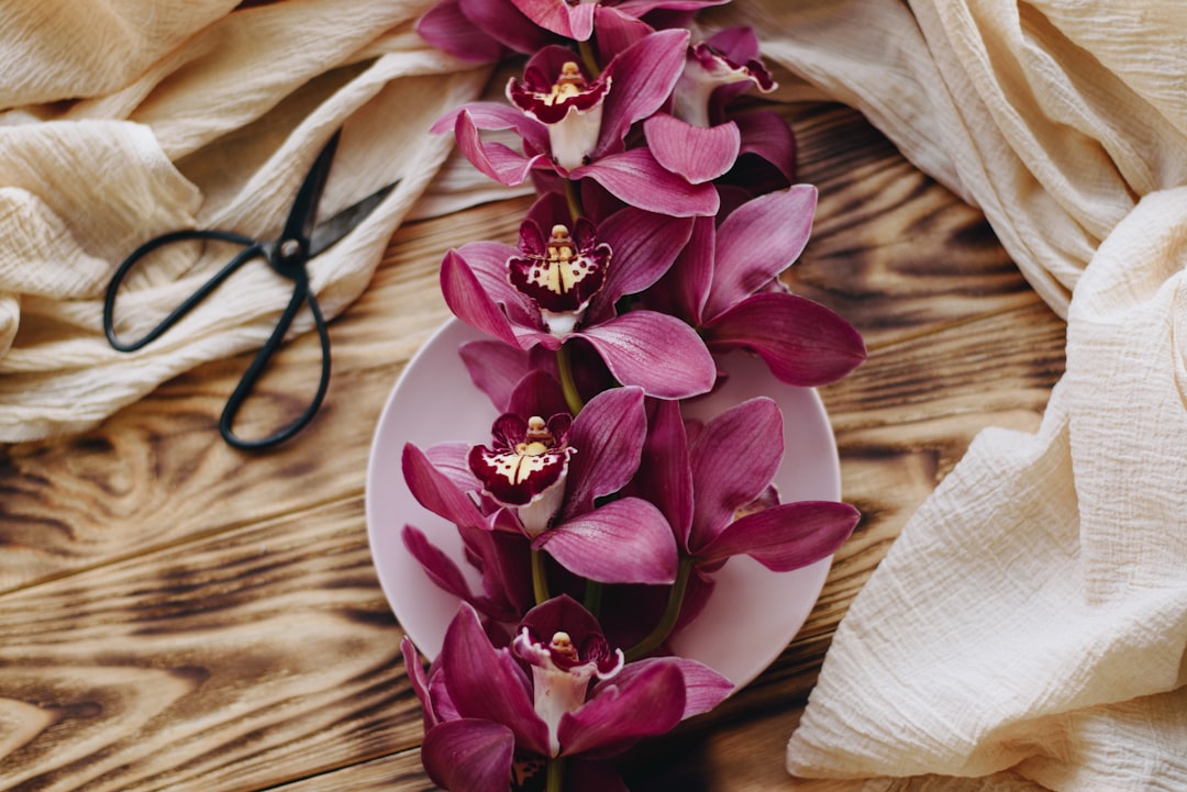découvrez comment réussir la bouture d'orchidée pour multiplier vos plantes avec succès. guide étape par étape pour couper et faire pousser vos orchidées facilement.