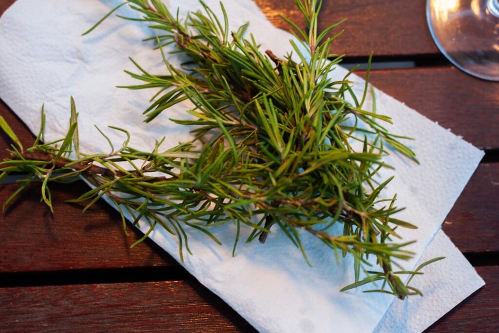 découvrez comment réussir la bouture de romarin pour obtenir des plants sains et parfumés. guide pratique et astuces de jardinage.