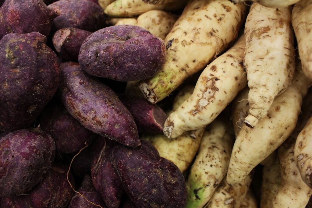 découvrez comment multiplier facilement la patate douce grâce à des méthodes simples de propagation pour obtenir de belles récoltes.