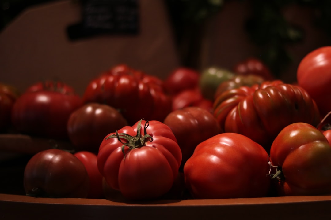 préparez votre jardin pour une croissance optimale avec nos conseils pratiques et méthodes efficaces.