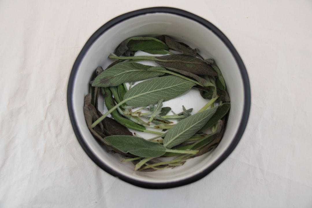 découvrez nos astuces et techniques de découpe précises avec sage cutting pour des résultats professionnels et efficaces.