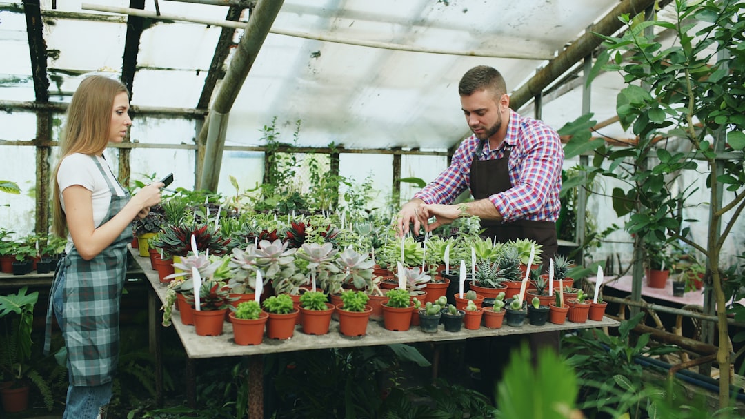 apprenez les meilleures méthodes pour la propagation des plantes succulentes et faites pousser de nouvelles plantes avec succès.